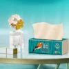 BAMTIME Bamboo Tissues Doos 4-laags Tissues / 90pcs 16box -karton -Woninginrichtingseries Winkel 1200x1139 1