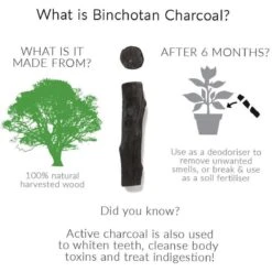 Black + Blum Binchotan Active Charcoal For Eau Good Water Bottles 4-pack -Woninginrichtingseries Winkel 1200x1200 208