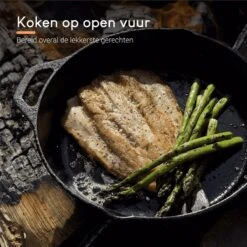 Ocina Gietijzeren Pan – ø30,5cm - Skillet - Koekenpan – Hapjespan – Koekenpan Inductie – Koekenpannenset - Gietijzeren Pan Bbq - Gietijzer -Woninginrichtingseries Winkel 1200x1200 25