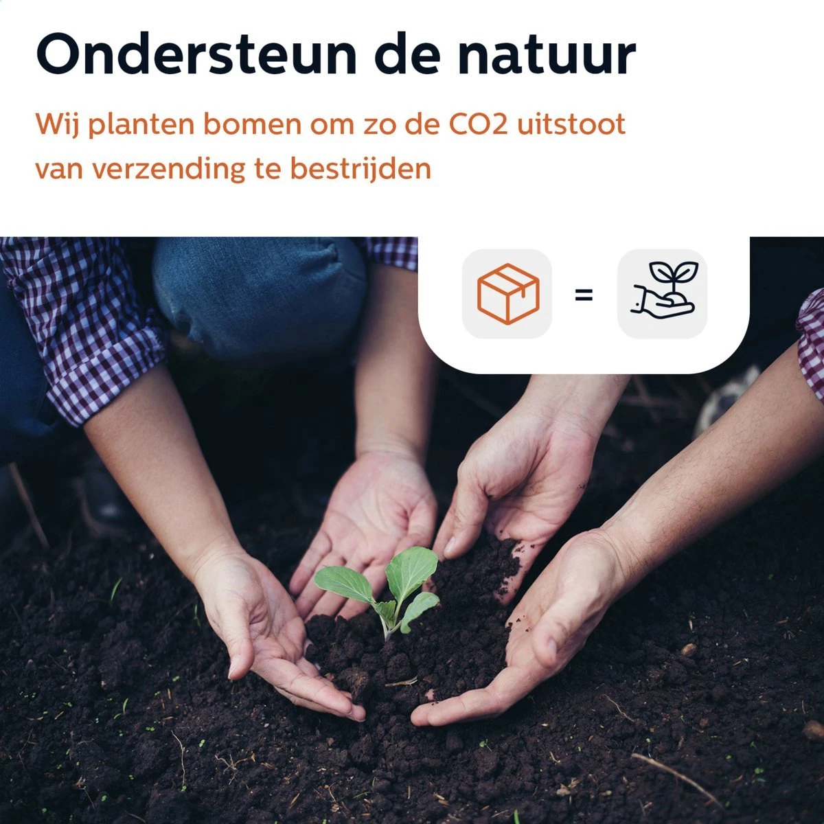 BooGoo® - Tortilla Pers Ø25CM - Inclusief Bakkwast En 100 Persvellen - Tortilla Press Roti Taco Maker - Tortillapan 11 BooGoo® - Tortilla Pers Ø25CM - Inclusief Bakkwast En 100 Persvellen - Tortilla Press Roti Taco Maker - Tortillapan - Afbeelding 9