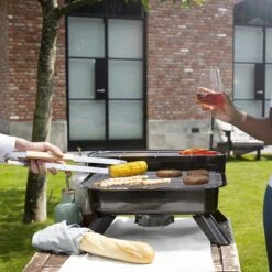 Princess 112252 Hybride Barbecue – Elektrische BBQ - Tafelmodel - 2000W - 44x 29cm - Gebruik Elektrisch Of Met Kolen -Woninginrichtingseries Winkel 1200x1200 38