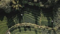 Sola Bestekset Bali - Modern - 9 Persoons - 90 Delig - Zilverwit Edelstaal 18/10 - RVS - Zilver 10 Sola Bestekset Bali - Modern - 9 Persoons - 90 Delig - Zilverwit Edelstaal 18/10 - RVS - Zilver -Woninginrichtingseries Winkel 1200x675 7