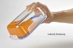 VMCA Glazen Vershoudbakjes Voor Vriezer Oven En Magnetron - 9 Bakjes -Woninginrichtingseries Winkel 1200x786 1