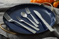 Swiss Pro+ Bestekset In Koffer-72 Delig-12 Persoons-Zwitsers Kwaliteit-Complete Set-100% Roestvrijstaal-Modern 24 Swiss Pro+ Bestekset In Koffer-72 Delig-12 Persoons-Zwitsers Kwaliteit-Complete Set-100% Roestvrijstaal-Modern -Woninginrichtingseries Winkel 1200x799 14