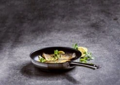 BK Allround Koekenpan Ø 24 Cm - Inductie - PFAS-vrij -Woninginrichtingseries Winkel 1200x851 1