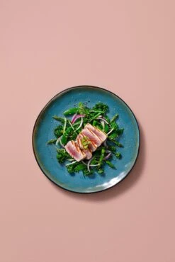 Palmer Serviesset Lotus Stoneware 6-persoons 24-delig Zwart Turquoise 25 Palmer Serviesset Lotus Stoneware 6-persoons 24-delig Zwart Turquoise -Woninginrichtingseries Winkel 801x1200 1